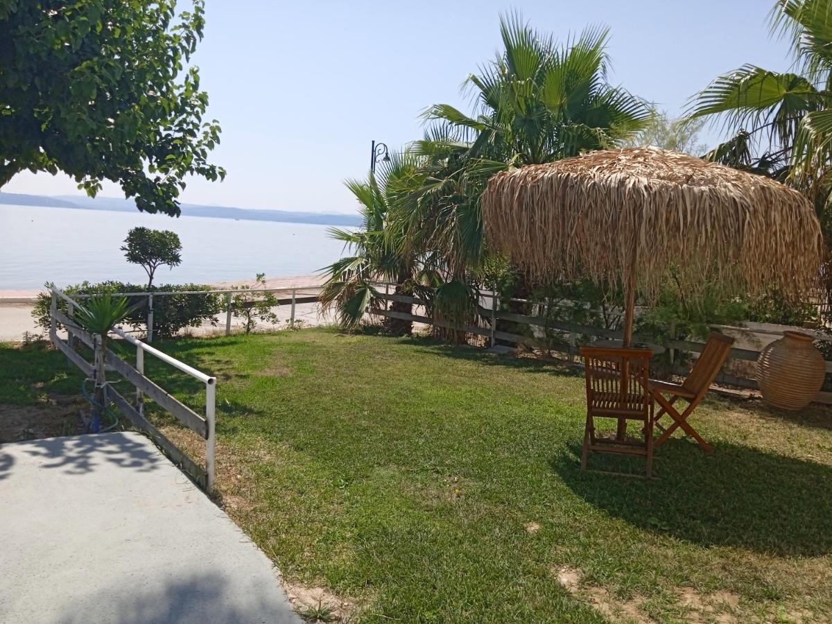 Evoikos Beach & Resort Livanátai Exteriör bild