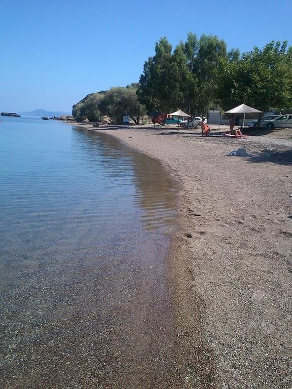 Evoikos Beach & Resort Livanátai Exteriör bild