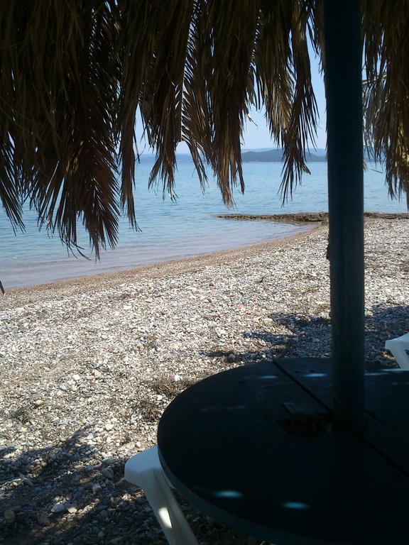 Evoikos Beach & Resort Livanátai Exteriör bild