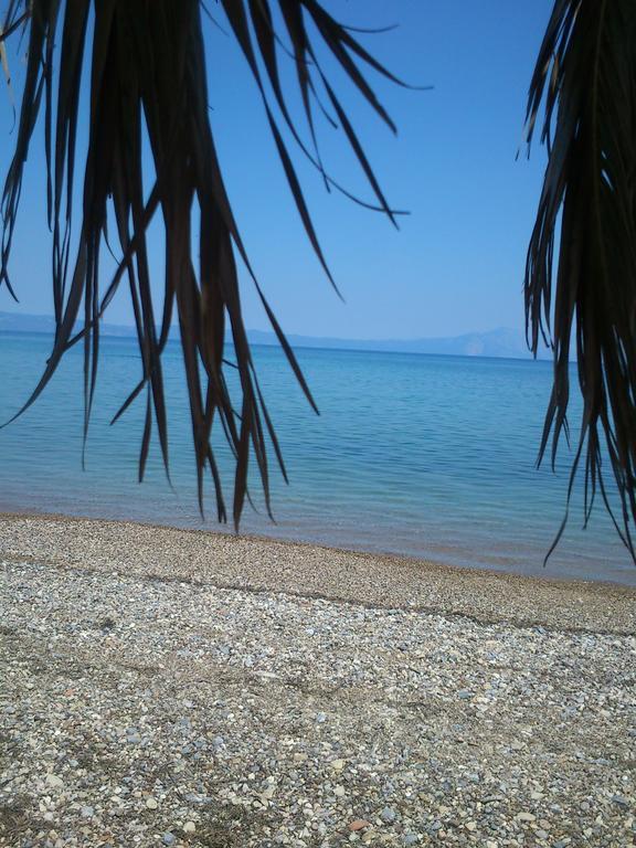 Evoikos Beach & Resort Livanátai Exteriör bild