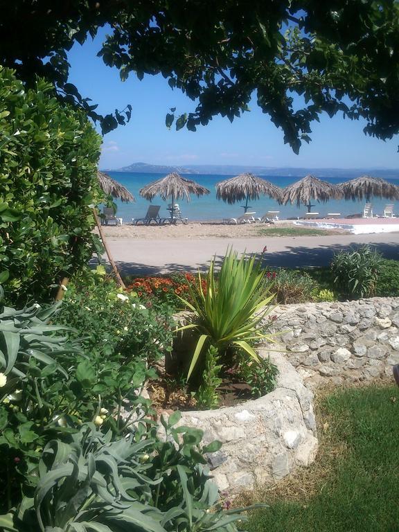 Evoikos Beach & Resort Livanátai Exteriör bild