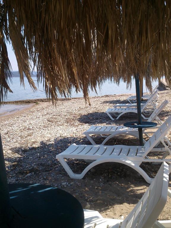 Evoikos Beach & Resort Livanátai Exteriör bild