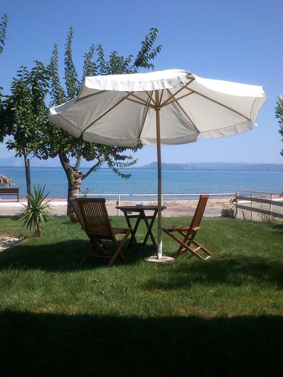 Evoikos Beach & Resort Livanátai Exteriör bild