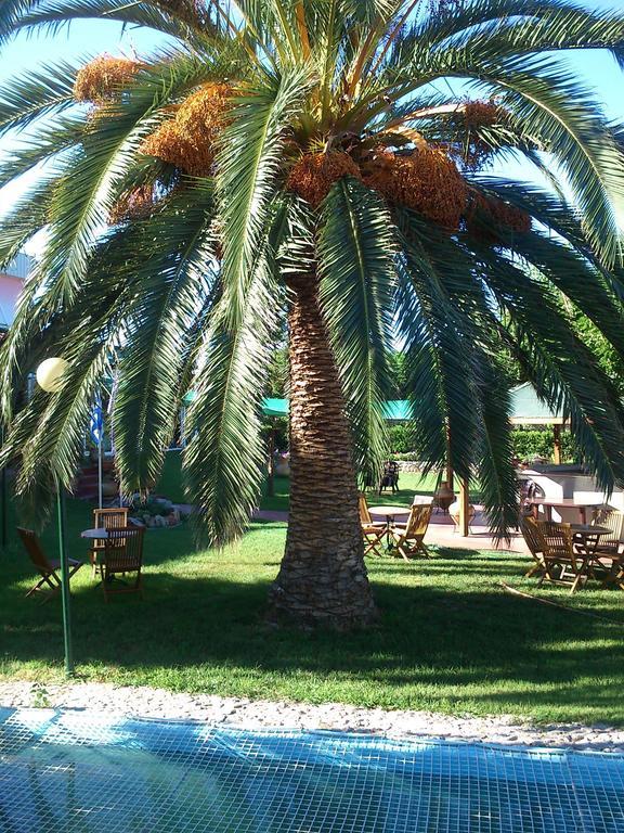 Evoikos Beach & Resort Livanátai Exteriör bild